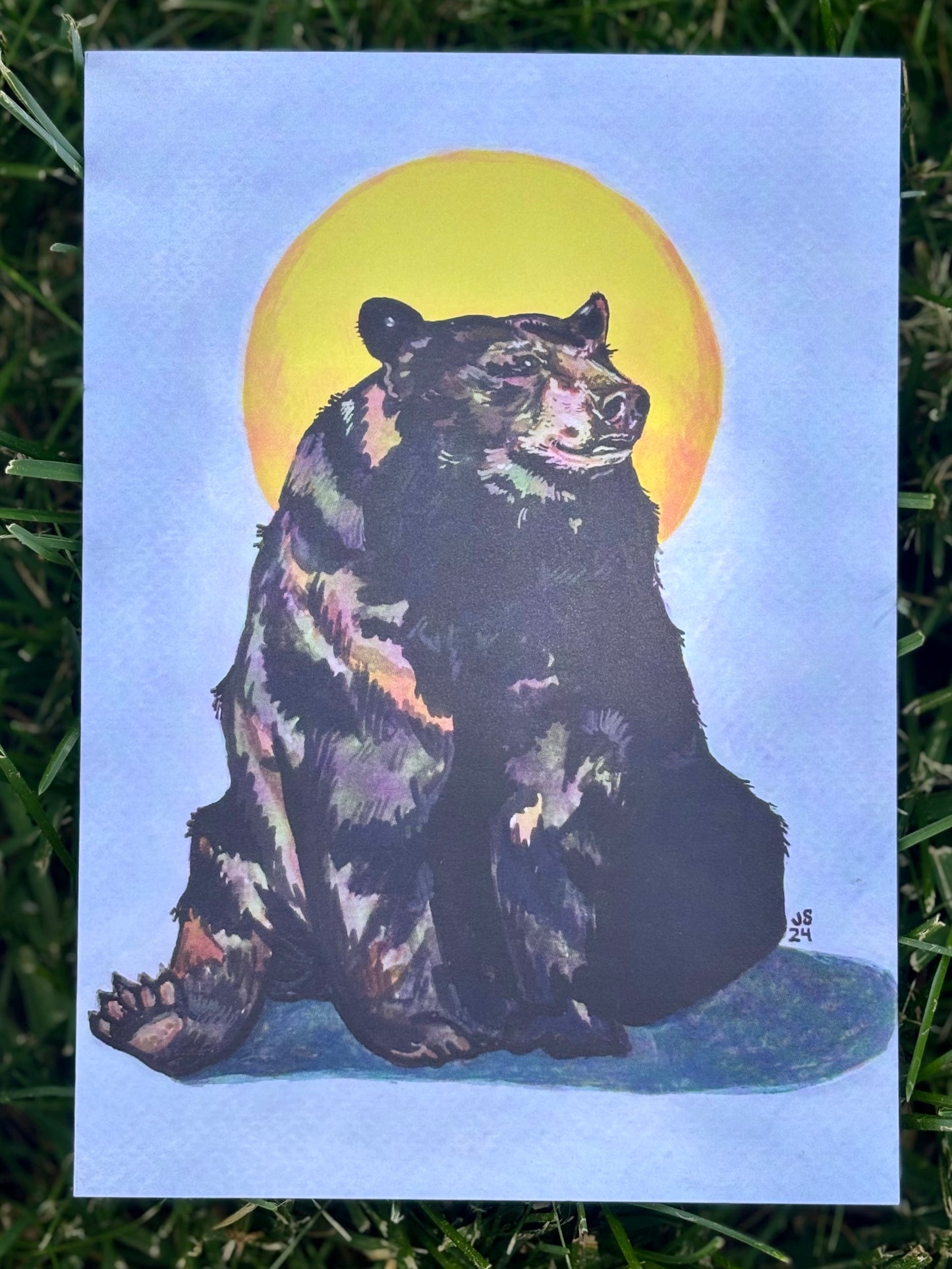 Sunbear Card