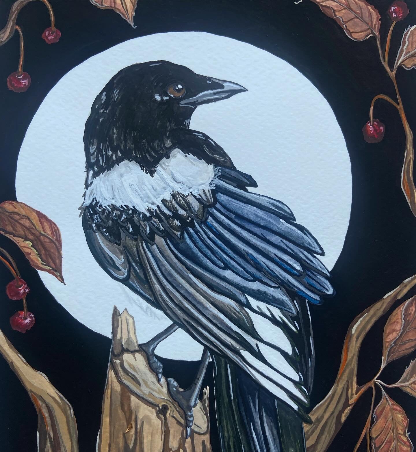 Magpie | Original Painting