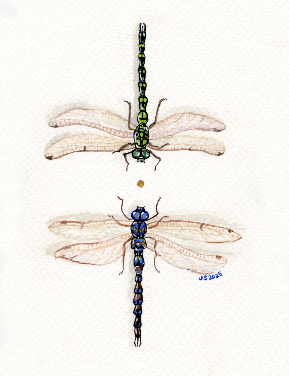 Dragonflies | Original Painting