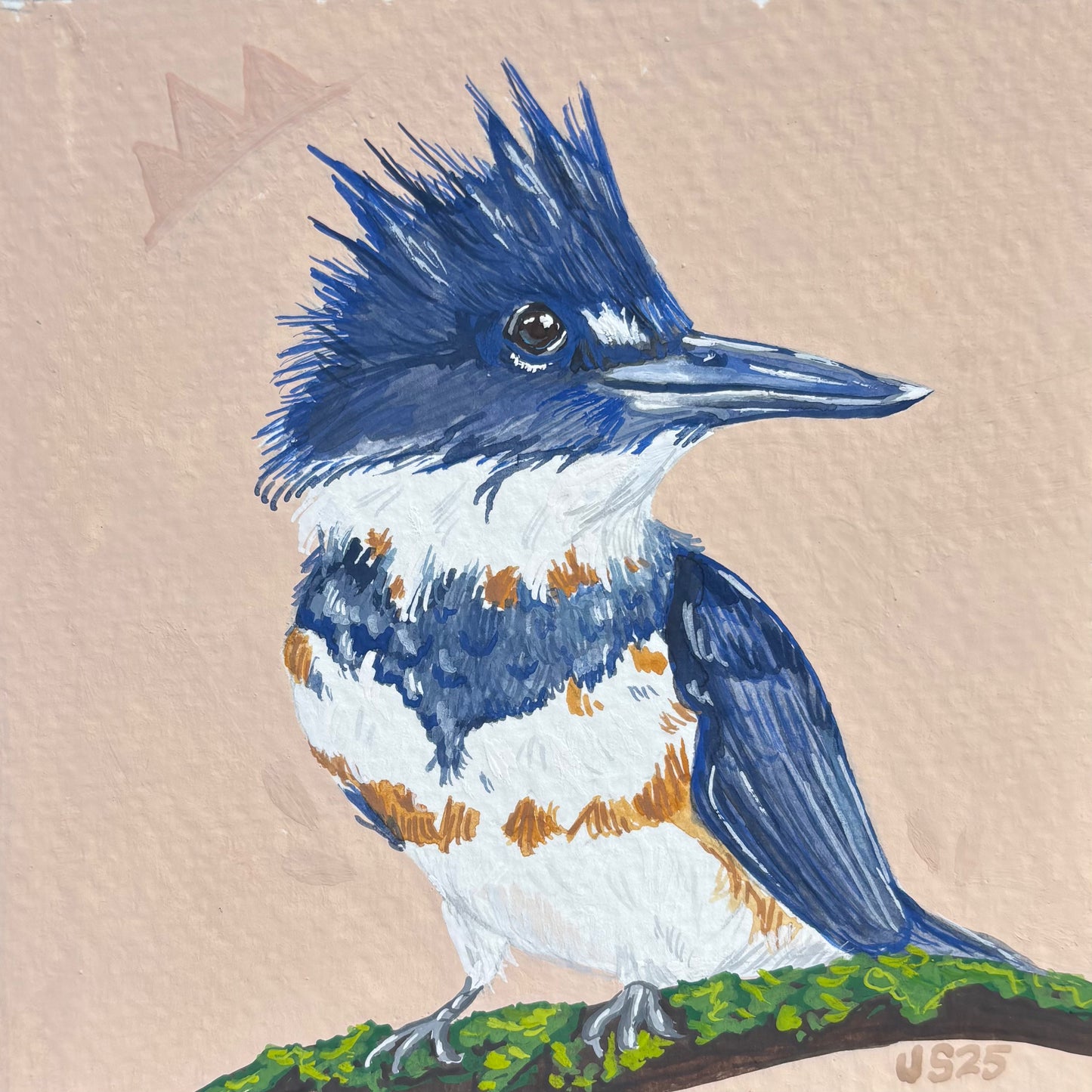 Belted Kingfisher II | Original Painting