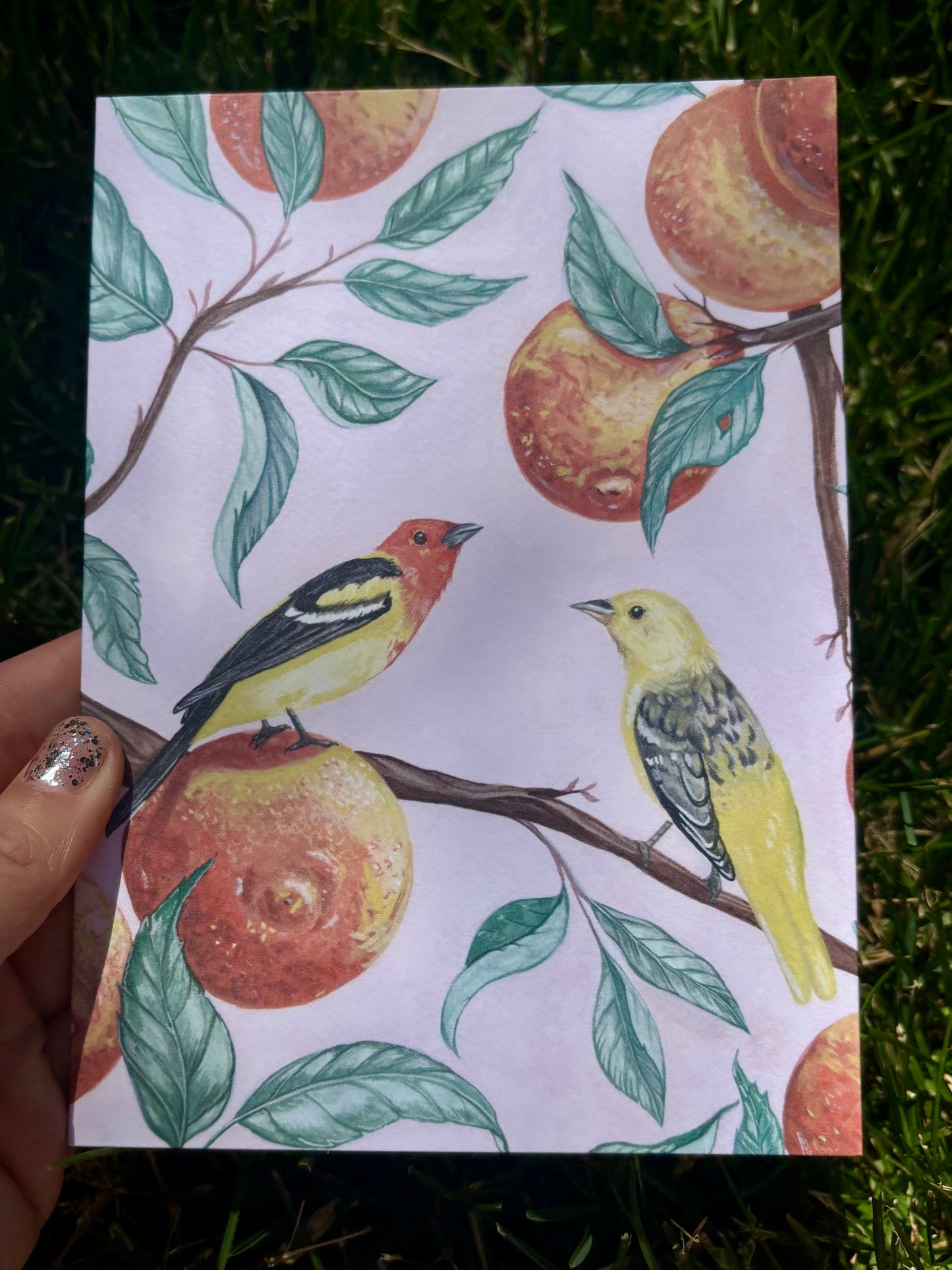 Western Tangerines Card