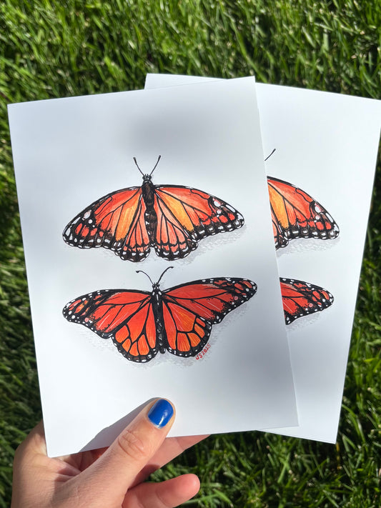 Monarch & Viceroy Card