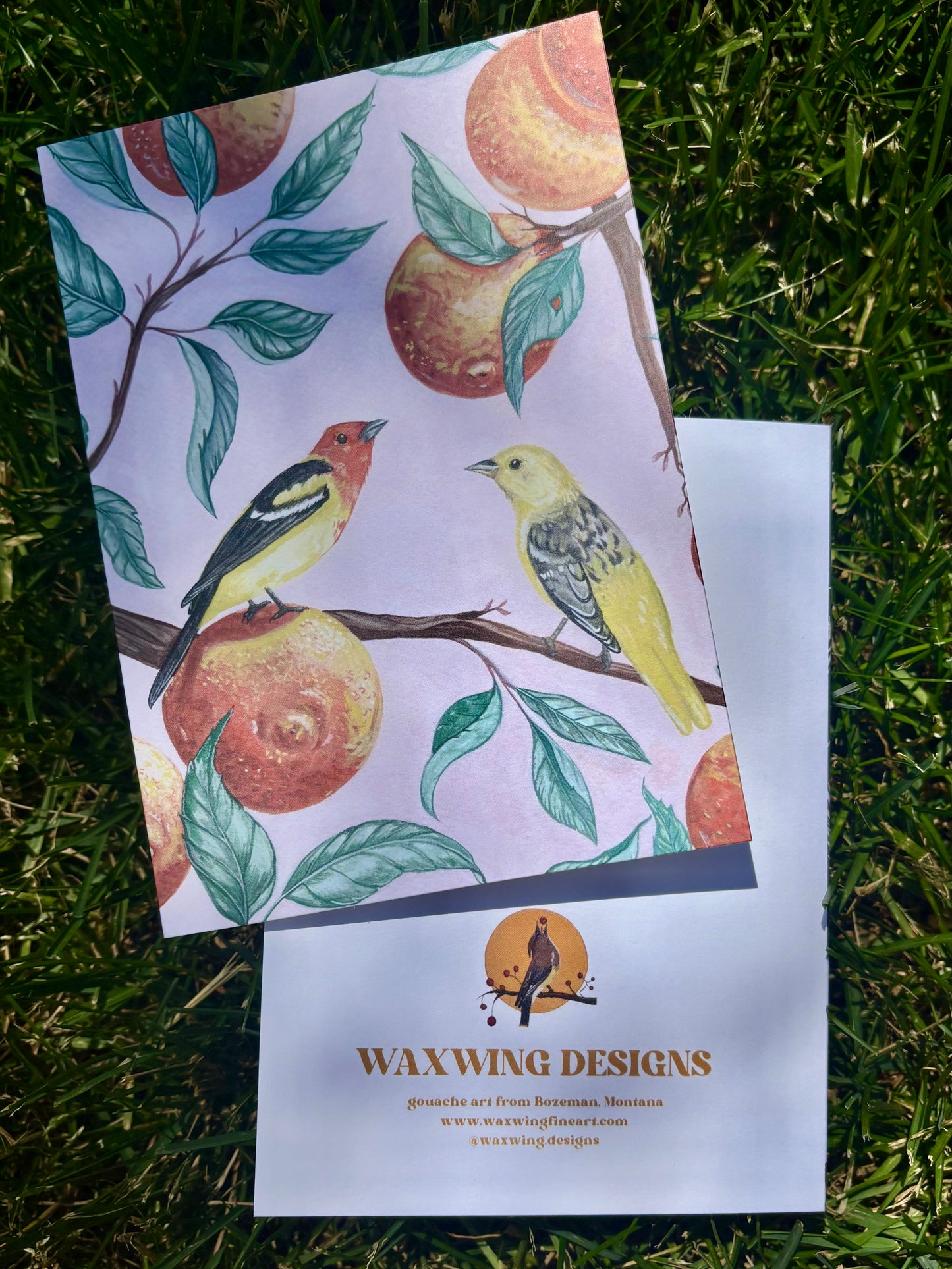 Western Tangerines Card