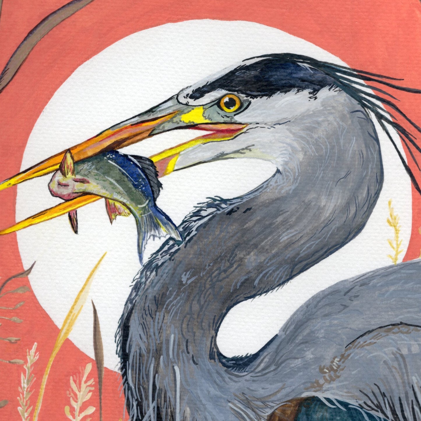 Great Blue Heron | Prints