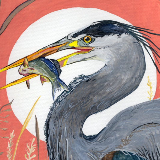 Great Blue Heron | Prints