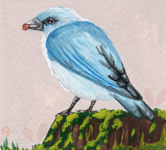Mountain Bluebird | Original Painting