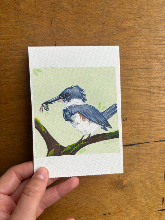 Kingfisher III | Original Painting