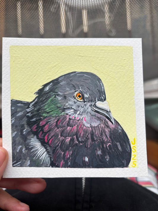 Pigeon | Original Painting