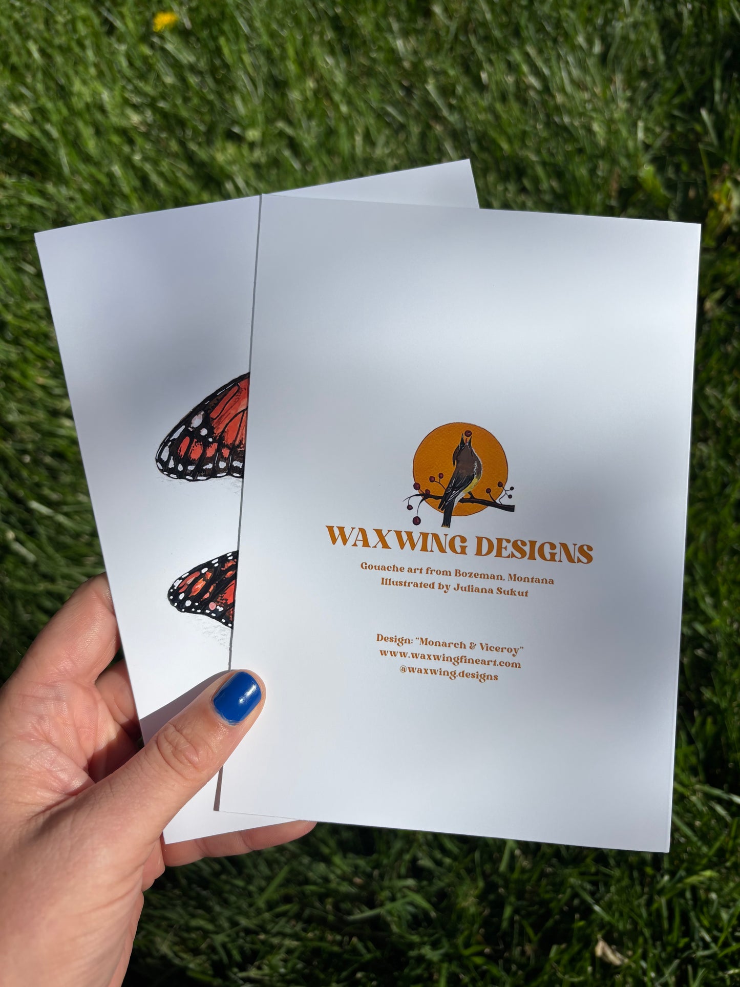 Monarch & Viceroy Card