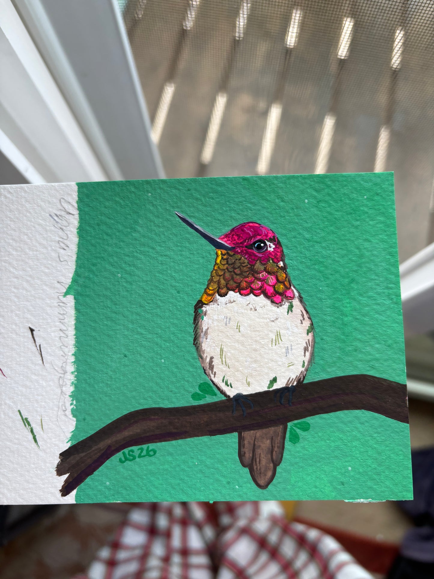 Anna’s Hummingbird | Original Painting
