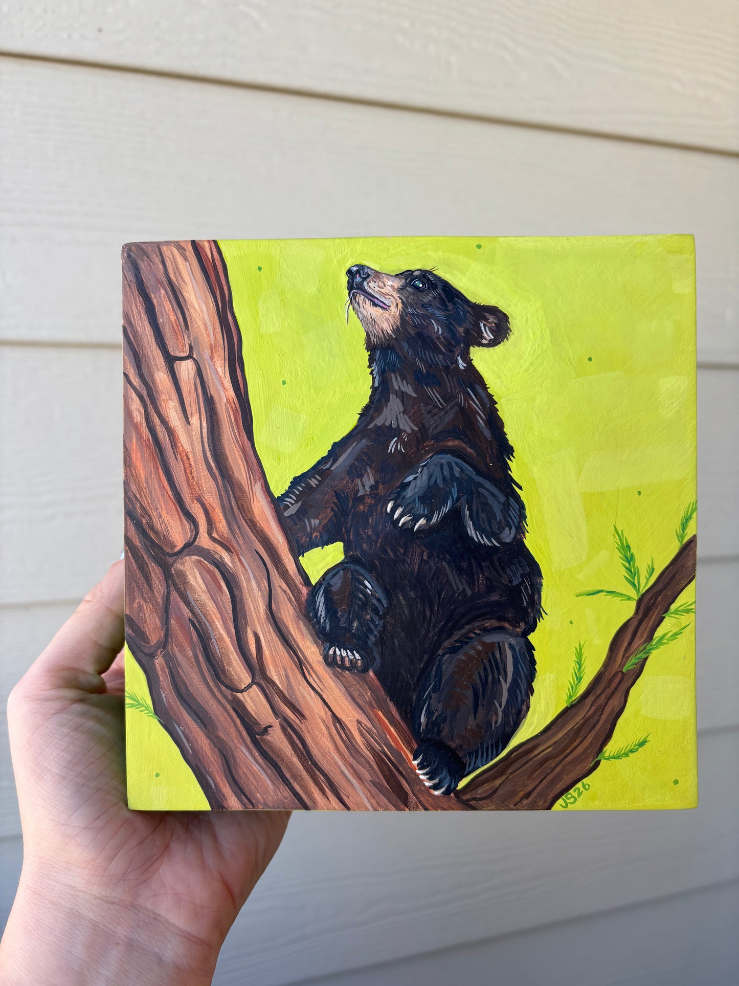 Baby Bear | Original Painting