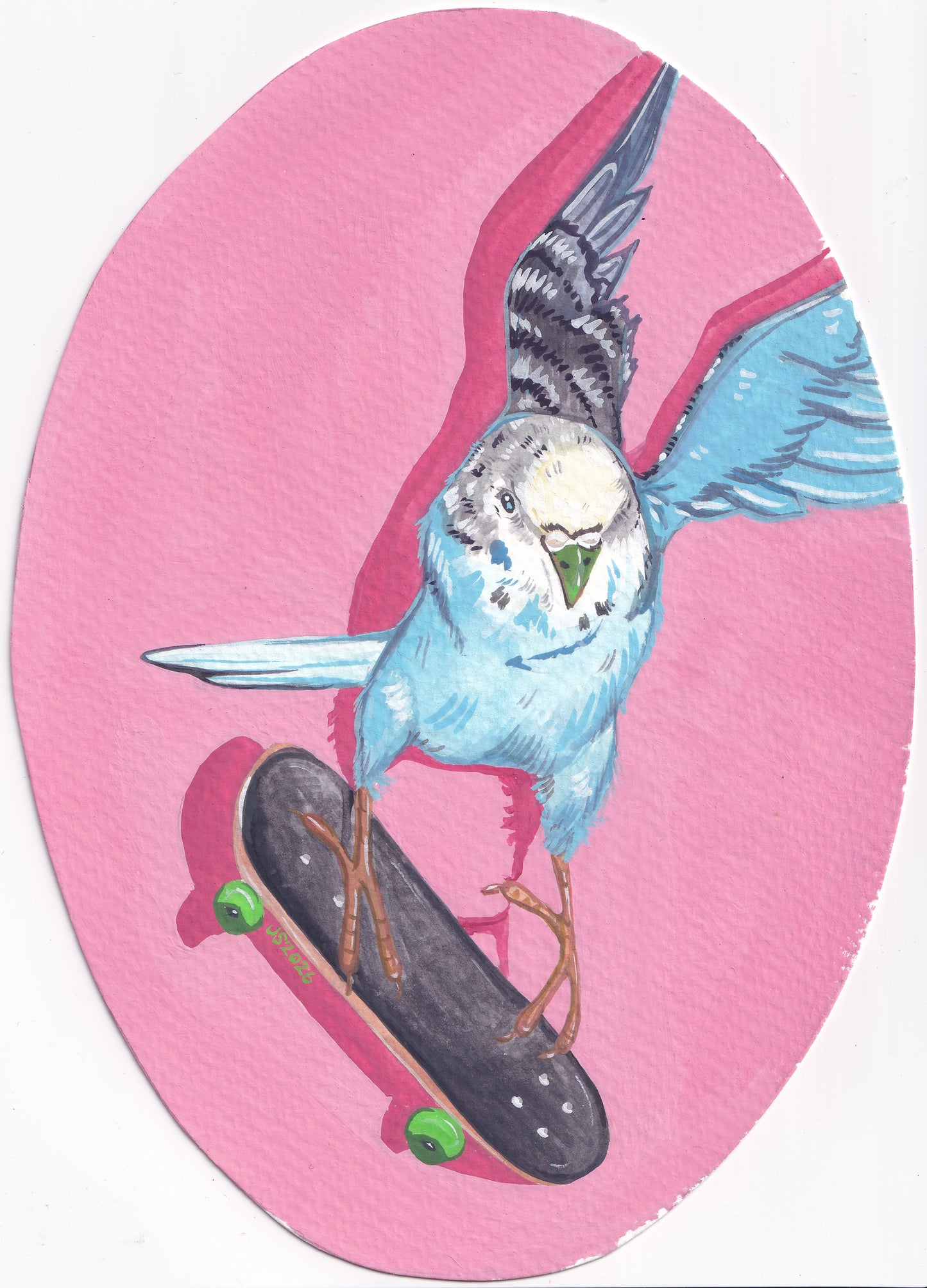 Tony Squawk | Original painting