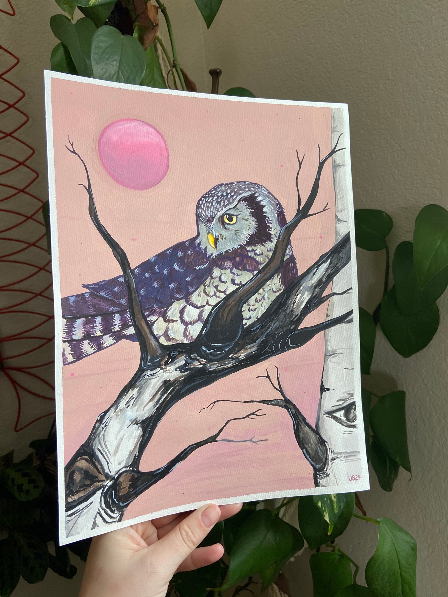 Northern Hawk Owl | Original painting