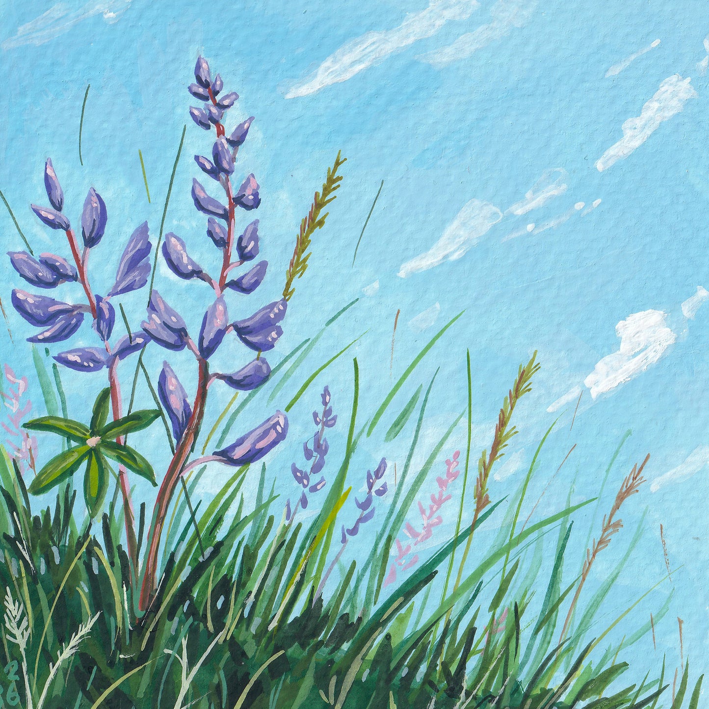 Lupines | Original Painting