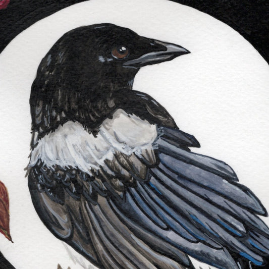 Magpie | Prints