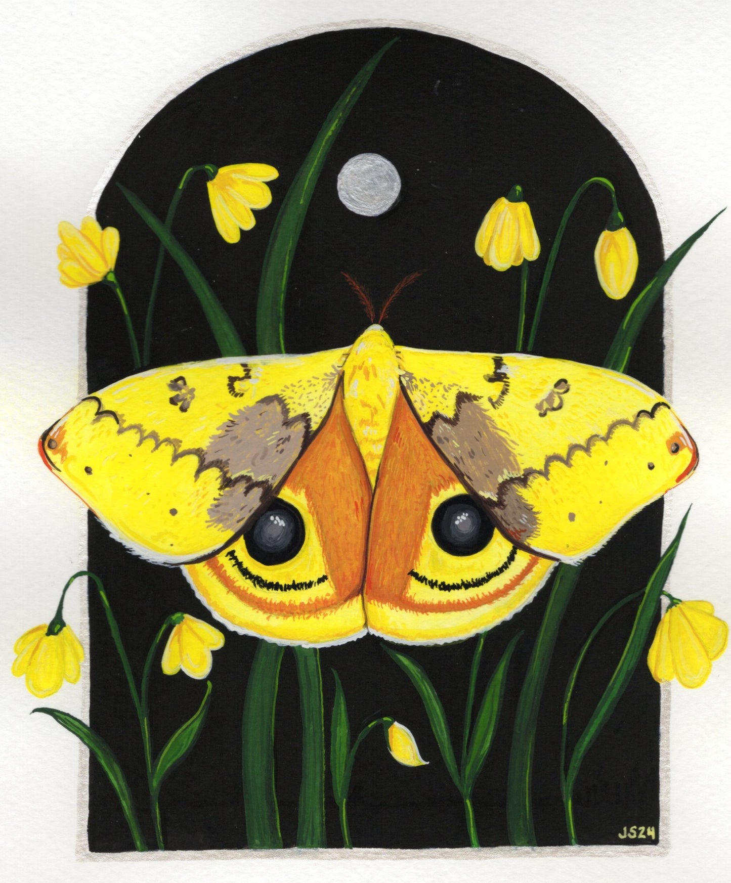 Io Moth | Original Painting