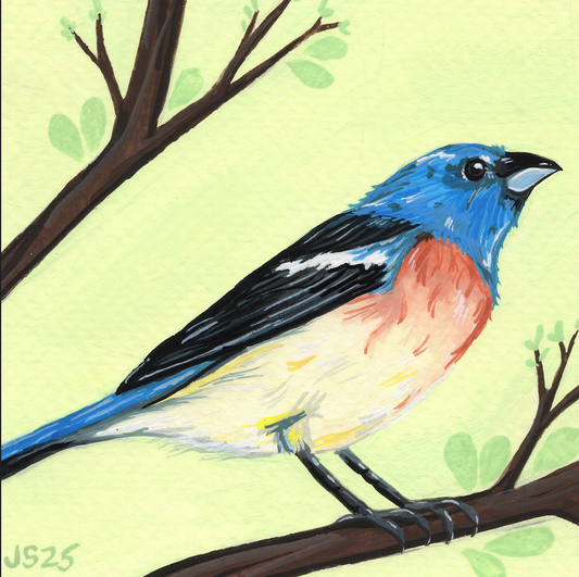 Lazuli Bunting | Original Painting