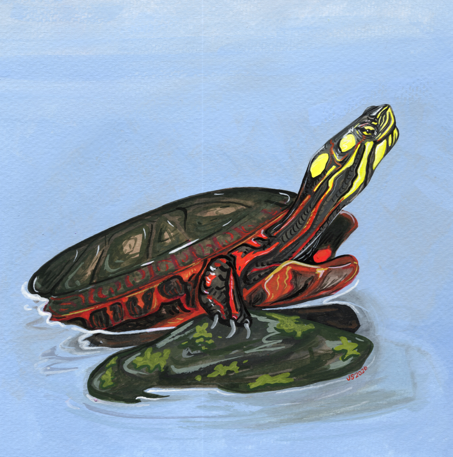 Basking | Original Painting