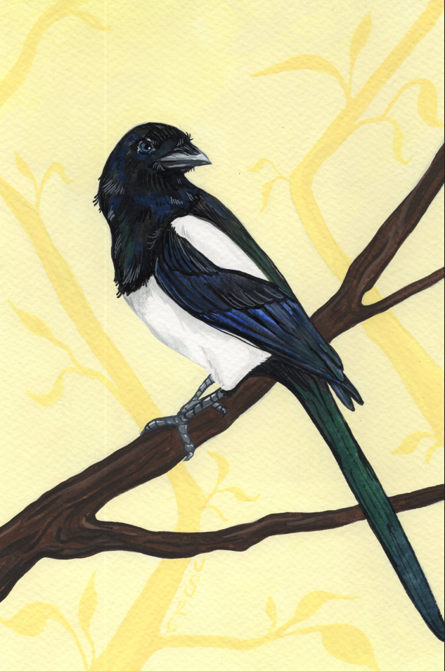 Yellow Magpie | Original Painting