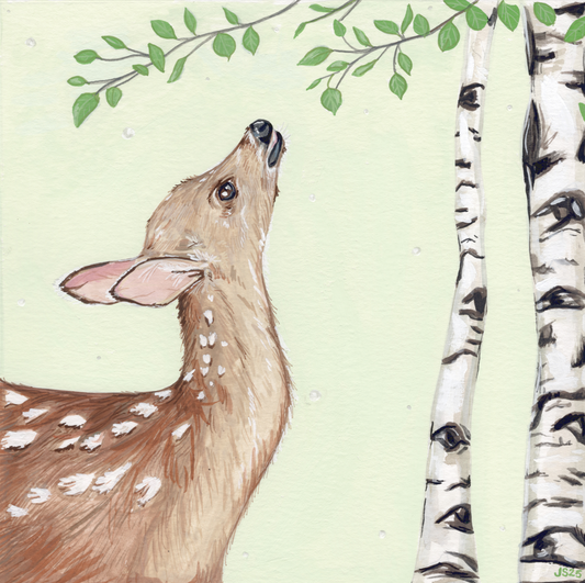 Quaking Snack | Prints