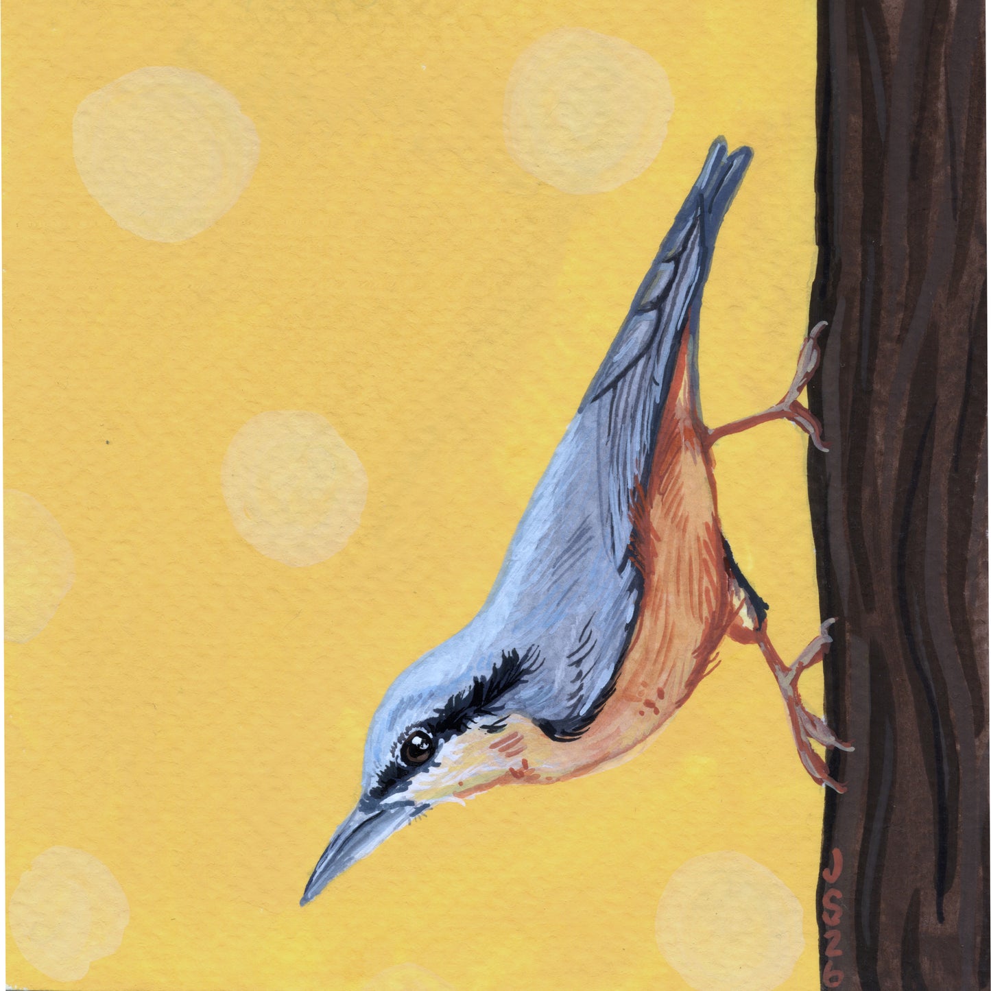 Nuthatch | Original Painting
