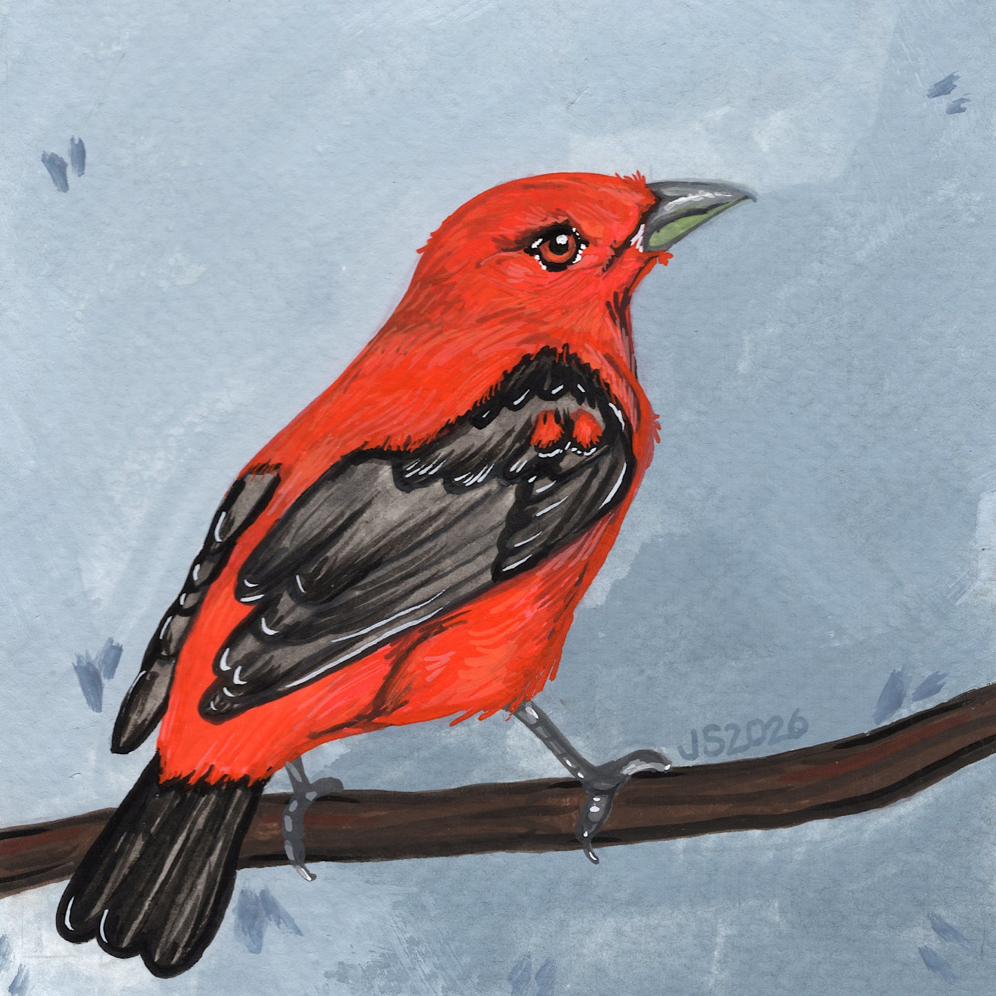 Scarlet Tanager | Original Painting