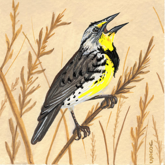 Western Meadowlark | Original Painting
