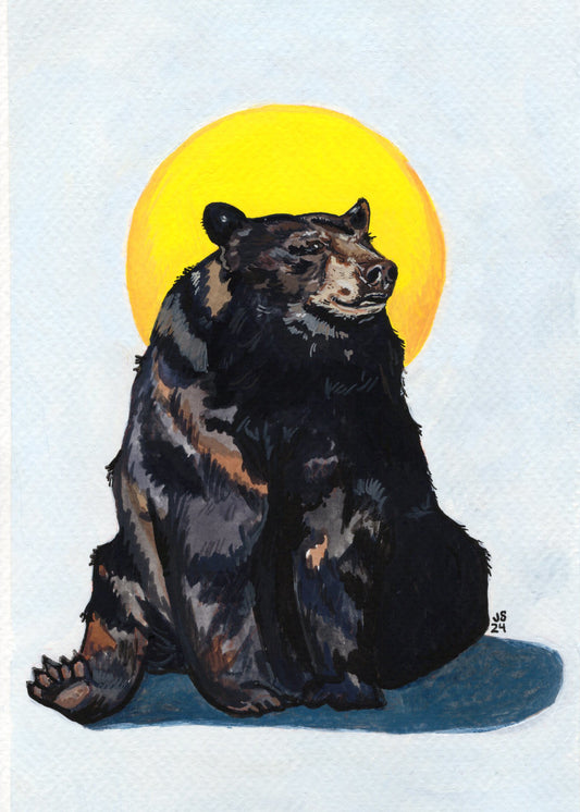 Sun Bear | Prints