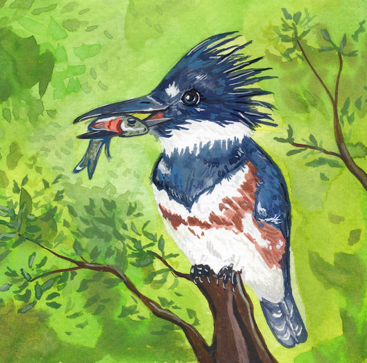 Kingfisher | Original Painting