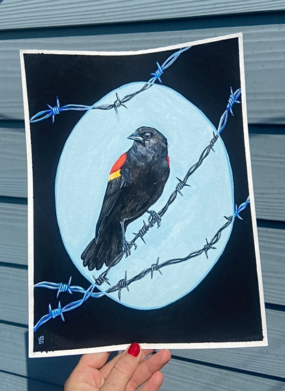 Red-winged blackbird | Original Painting