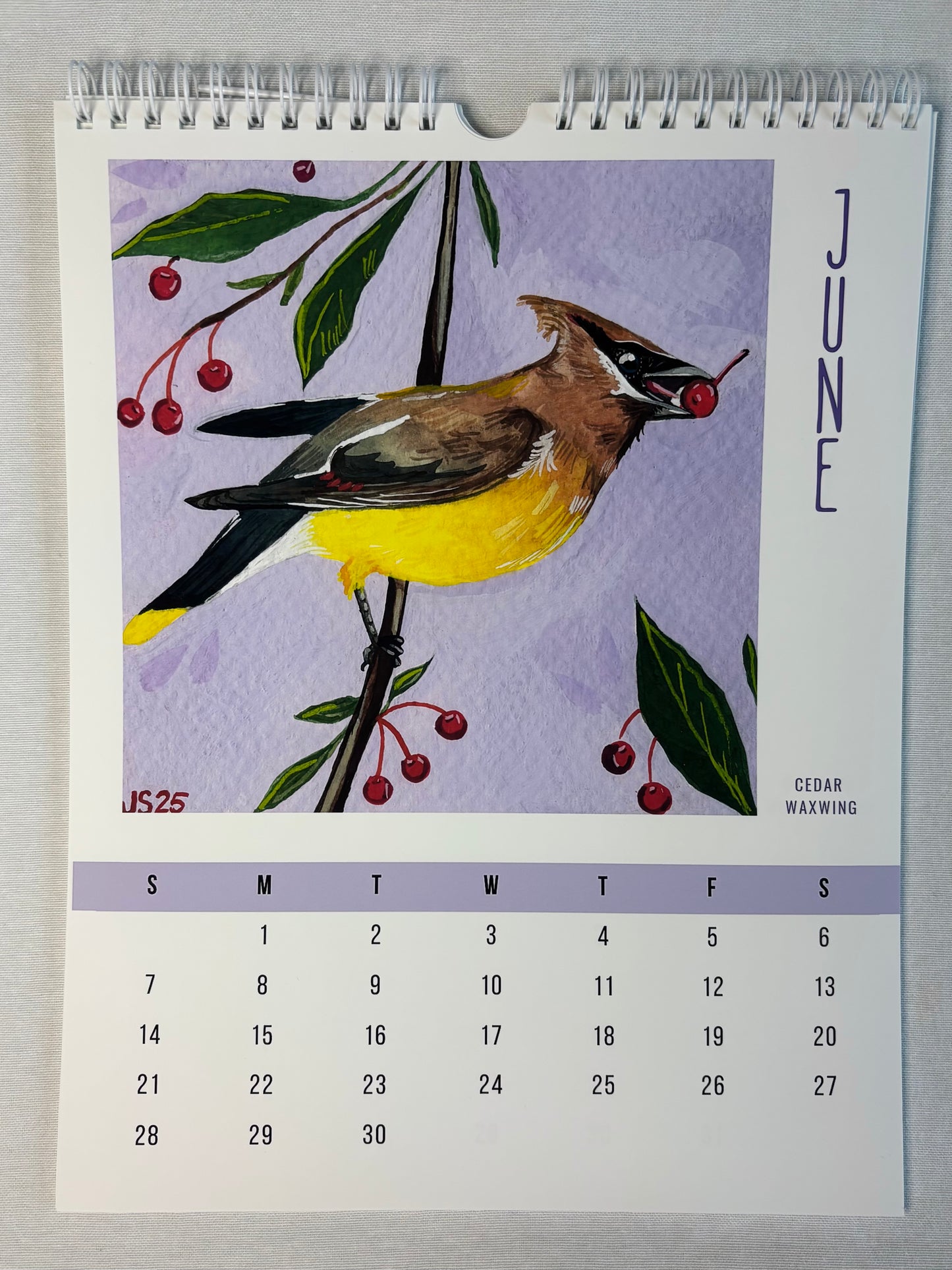 2026 Wall Calendars - Backyard Birds