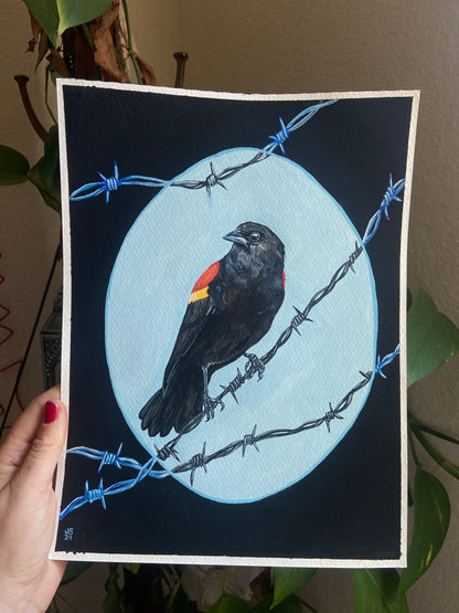 Red-winged blackbird | Original Painting