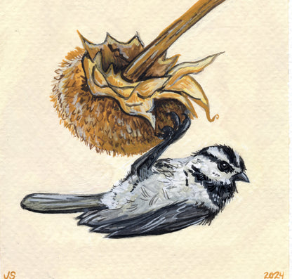 Mountain Chickadee | Original painting