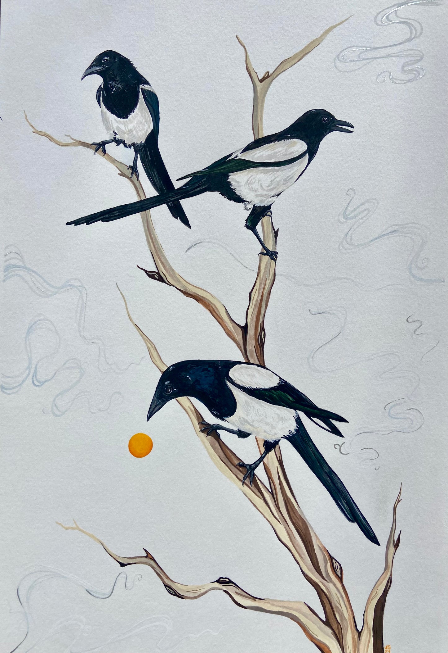 Magpie trio prints