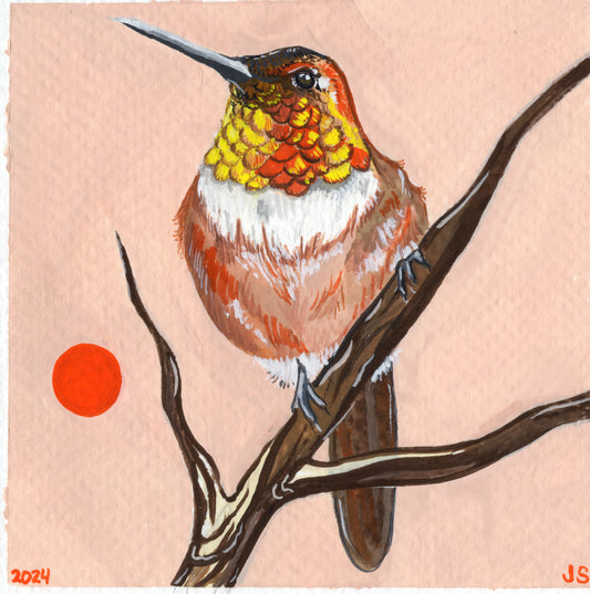 Backyard Birds (multiple) | Prints