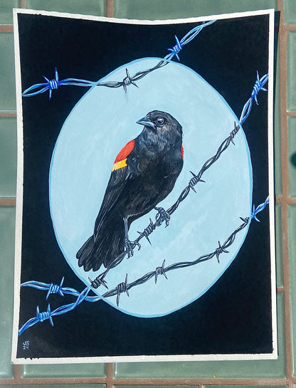 Red-winged blackbird | Original Painting