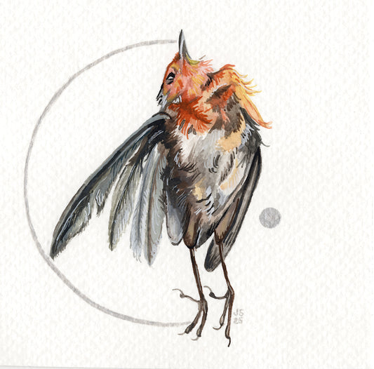 Dead Robin | Original Painting