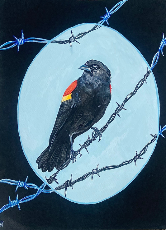 Red-winged blackbird | Original Painting