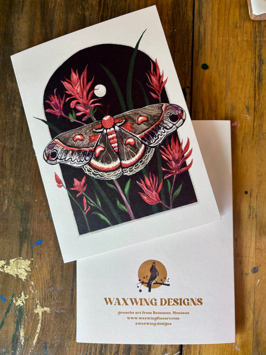 Crecopia Moth Card