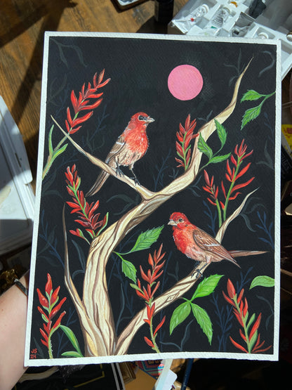 House finches | Original Painting