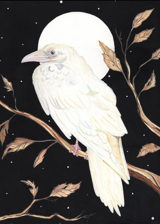 White Watcher | Original Painting