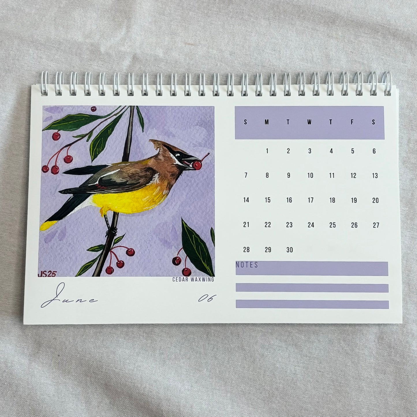 2026 Desk Calendar - Backyard Birds