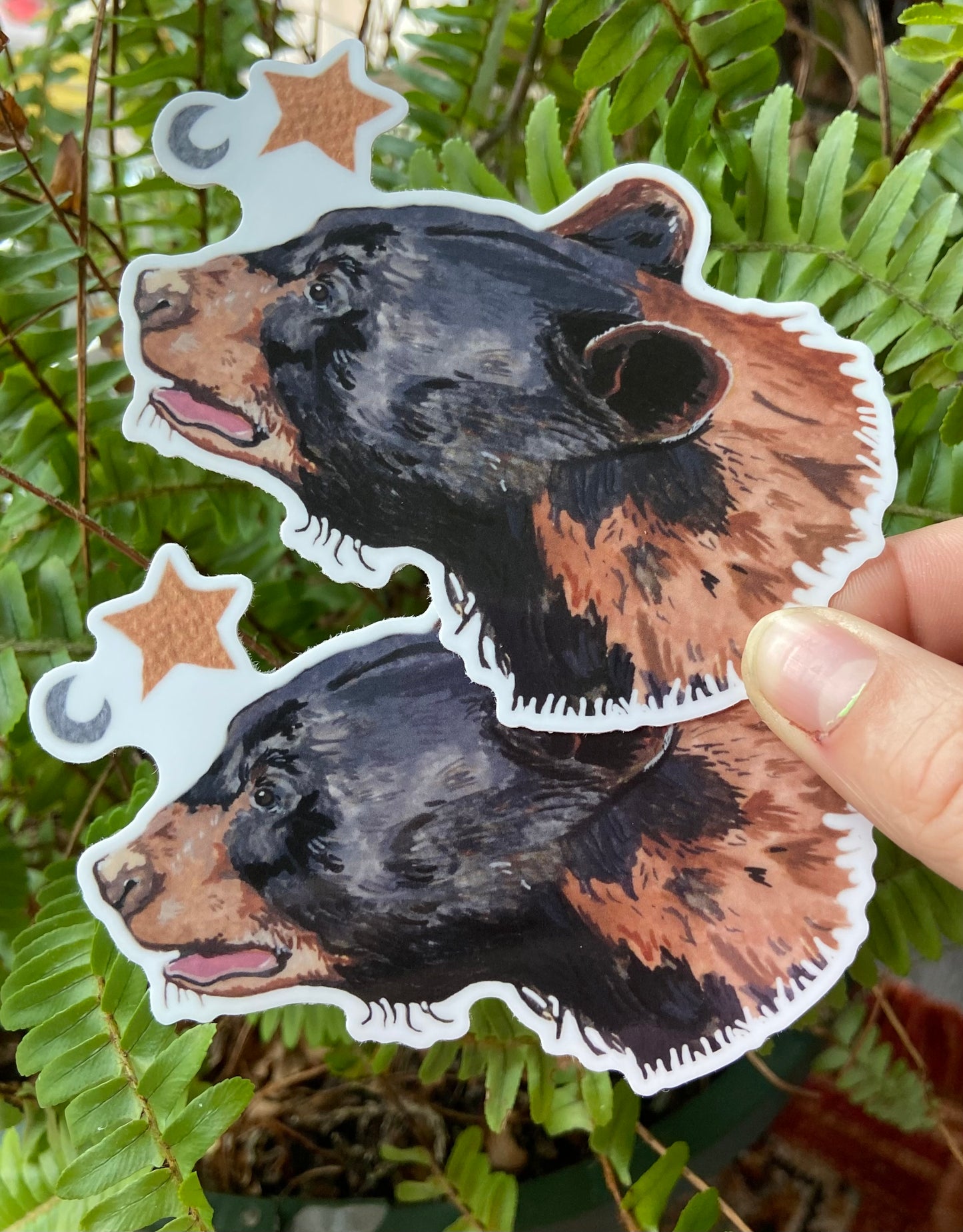 Star bear sticker