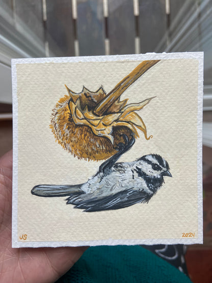 Mountain Chickadee | Original painting