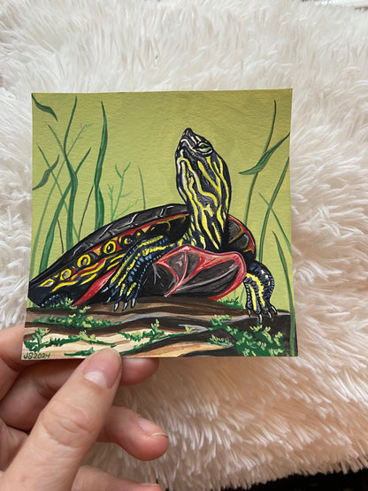 Painted Turtle | Original painting