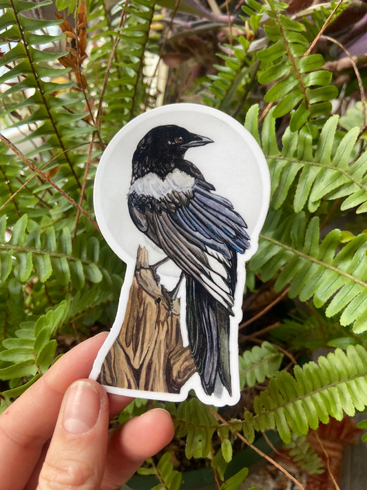 Magpie