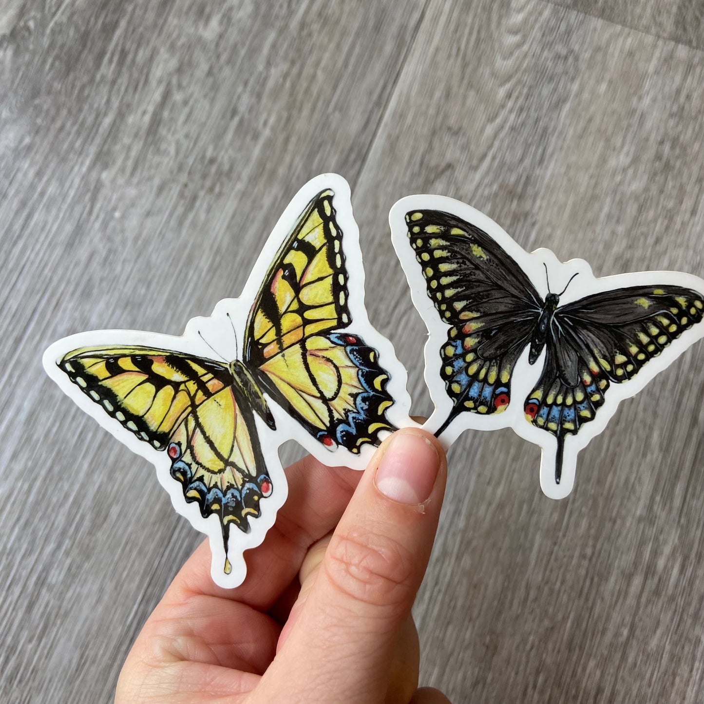 Swallowtail Butterfly sticker