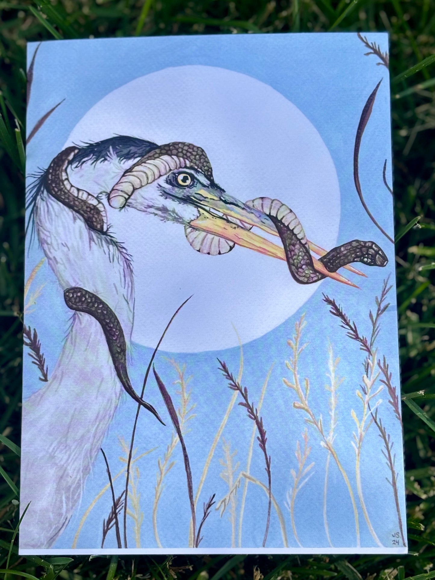 Heron & Snake Card