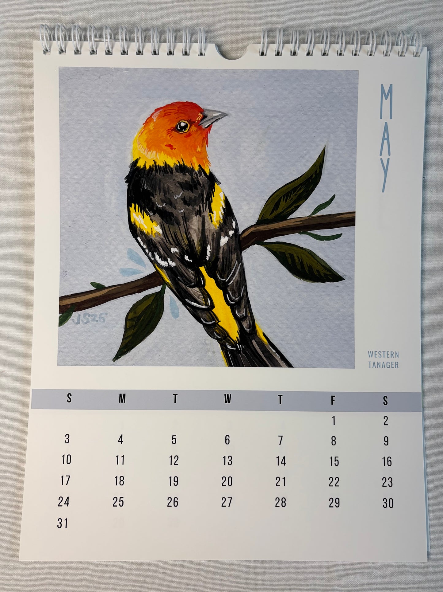 2026 Wall Calendars - Backyard Birds