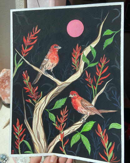 House finch prints